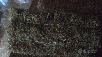 Fieno in ballette e balloni