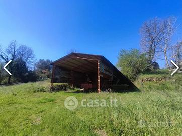 Terreno di 3,5 ettari nella Tuscia