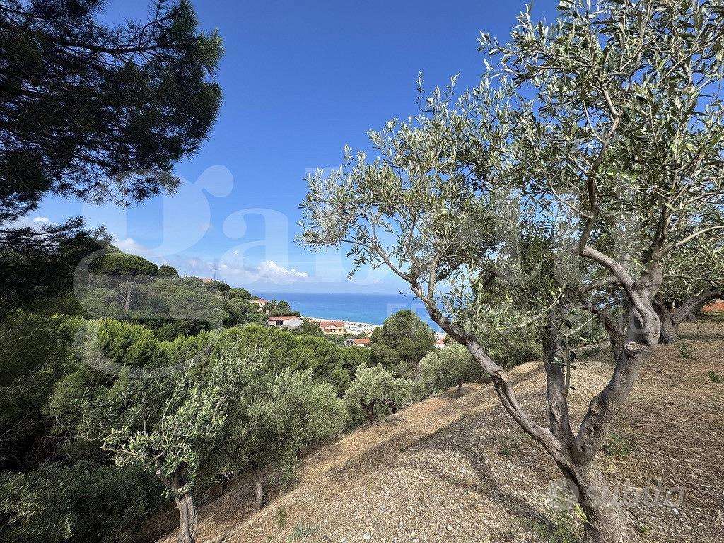 Terreno Agricolo Messina [Cod. rif 3331511VCG] - Vista 4
