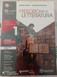IL TESORO DELLA LETTERATURA VOL. 1