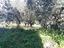 Immagine 15