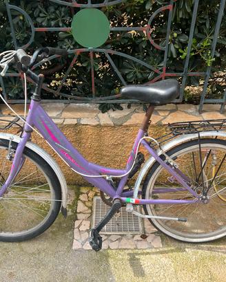 bicicletta