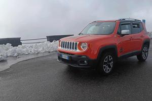 2.0 d 4x4 limited edition