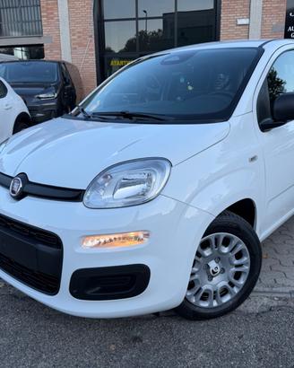 Fiat Panda 1.0 FireFly S&S Hybrid Icon