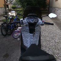Piaggio beverly 350