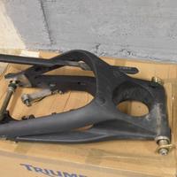 Forcellone Triumph Street Triple 675