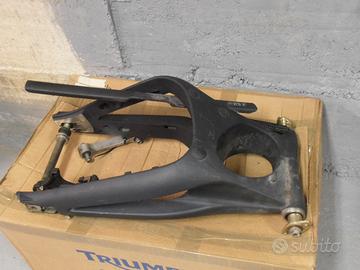 Forcellone Triumph Street Triple 675