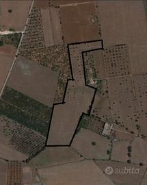Terreno seminativo 6.50ha
