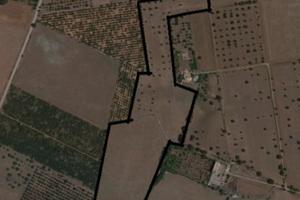 Terreno seminativo 6.50ha