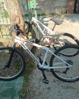 Due biciclette