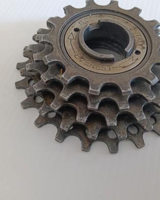 Pacco pignoni 5v 14-22