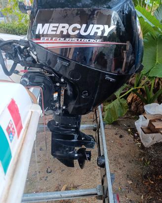 Motore Mercury 20 CV efi