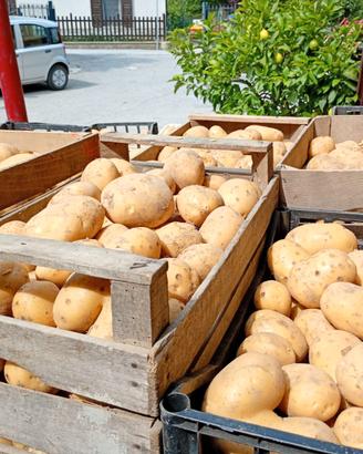 Patate  di montagna  novelle