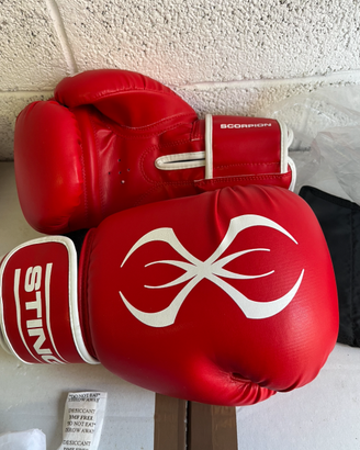 Guantoni da box professionali Scorpion Sting