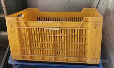 cassa in plastica robusna