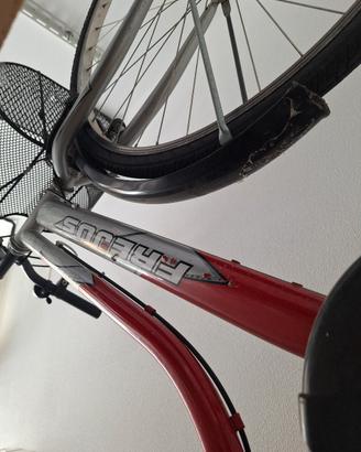 Bicicletta 