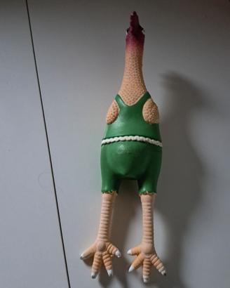 Gioco cane