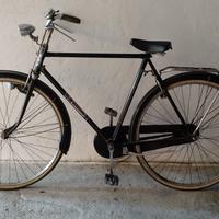 Bicicletta RADIUS uomo completa di portapacchi