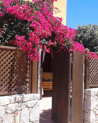 Vacanze a San Vito Lo Capo
