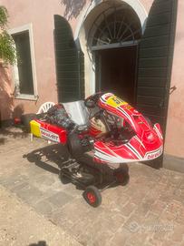 Birel s16 tm r1 titan red