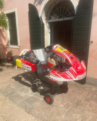 Birel s16 tm r1 titan red