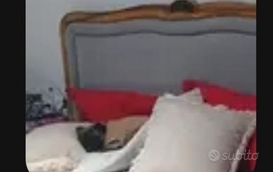 letto