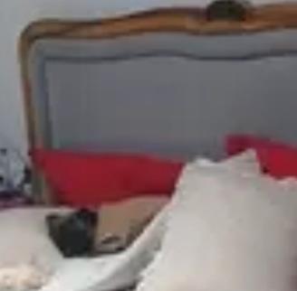 letto