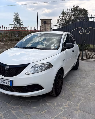 Lancia Ypsilon 1.2 69 CV 5 porte GPL Ecochic Elefa