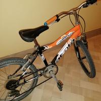 Bici bambino