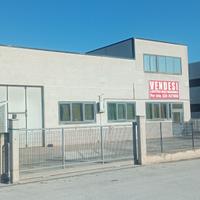 Capannone Industriale - Porto Sant' Elpidio