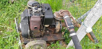 Pompa Acqua RUGGERINI RF 80