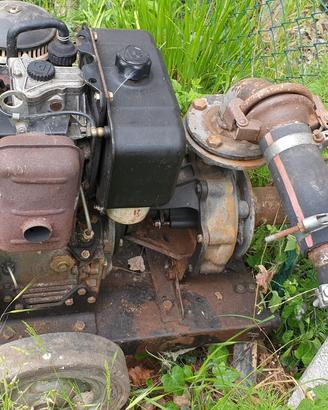 Pompa Acqua RUGGERINI RF 80