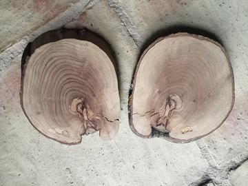 due fette rotonde di legno di ulivo 