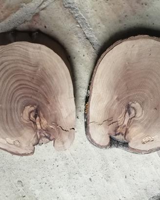 due fette rotonde di legno di ulivo 