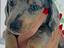 Immagine 3