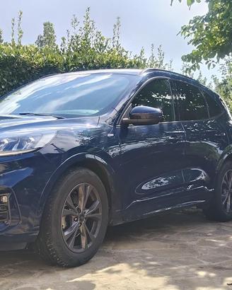 FORD Kuga 1.5 Ecoblue 120Cv ST-LINE 2WD 