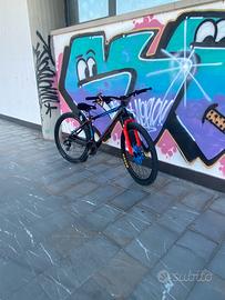 Whellie bike custom