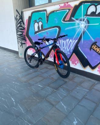 Whellie bike custom