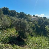 Terreno edificabile Località Torre Normanna