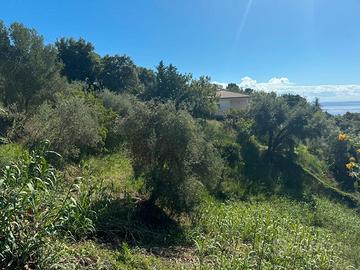 Terreno edificabile Località Torre Normanna