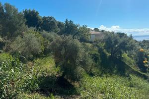 Terreno edificabile Località Torre Normanna