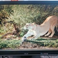 Monitor ASUS VW225N 22"