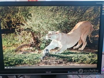 Monitor ASUS VW225N 22"