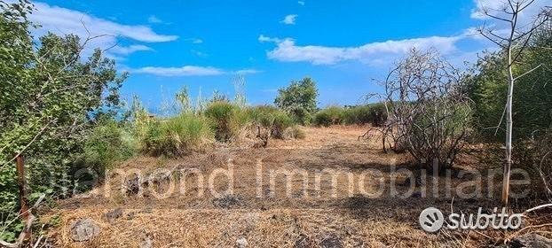 Terreno agricolo 3.800 mq panoramico a san gerardo - Vista 3