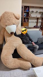 Orso gigante