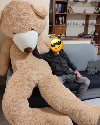 Orso gigante