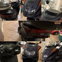 Majesti 250