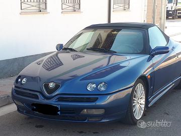 Alfa spider