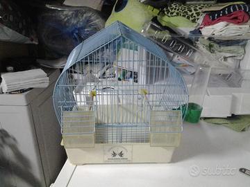 Gabbia piccola nuova