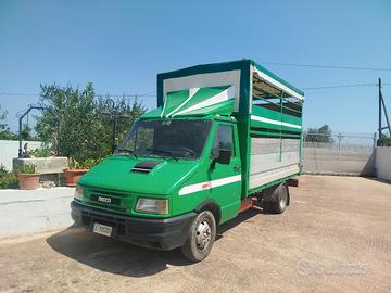 Iveco 35 10 trasporto bestiame